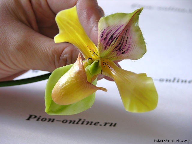 Орхидея Леди Слиппер из полимерной глины68) (640x480, 160Kb)