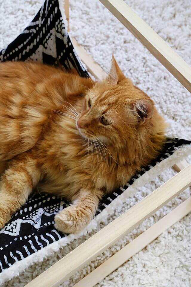 Гамак для кота - готовое изделие