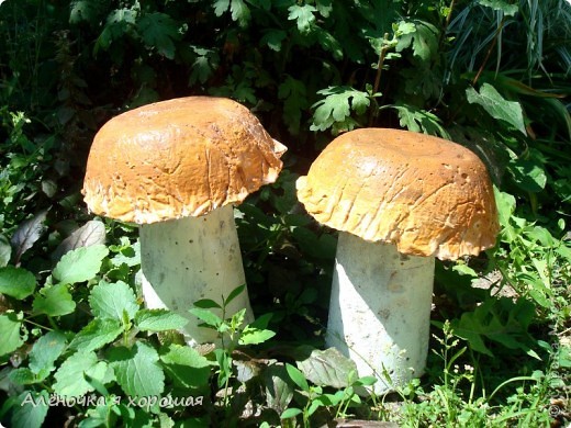 Мои первые грибочки из цемента!!!. Фото 1