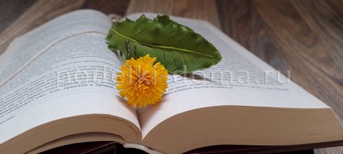 Как слепить одуванчик. Мастер-класс